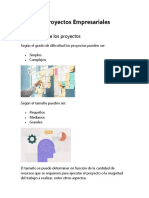 Tipos de Proyectos Empresariales