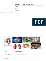 Format Laporan Tugas 2: Nama Lengkap: RINA SUSANTI Laskar (Barung /) : KUNING Asal Gudep: Mi Darul Khair Gambar