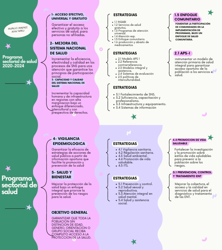 Mapa Mental del Sistema de Salud en México | PDF | Cuidado de la salud