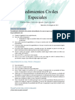 Apunte Procesal Civil Especial 1