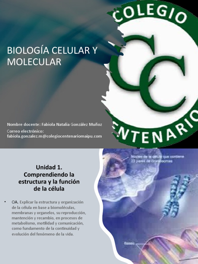 Estructura y Función de Células | PDF | Biología Celular) | Eucariotas