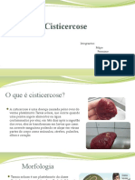 Cisticercose: causas, sintomas e prevenção