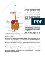 Digestive Tract Histology