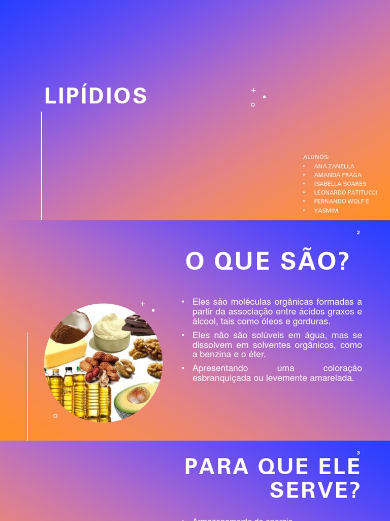 Funcoes Dos Lipidios