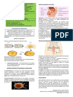 Guia 1 2P 5°ciencias