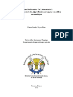 Informe de Practica de Laboratorio 2. Montaje y Etiquetado de Hippodamia Convergens Con Alfiler Entomológico