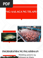 Isdang Malapad | PDF