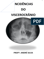 Incidências Da Face