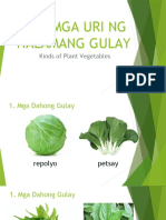 Mga Uri NG Halamang Gulay