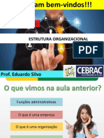 Estrutura Organizacional: Prof. Eduardo Silva