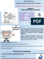 Tema: "La Ultraestructura Celular": Asignatura: Botánica Morfológica y Sistemática