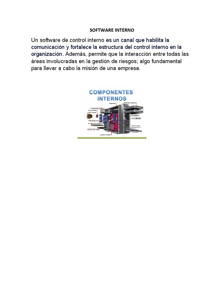 Software de Control Interno en Empresas | PDF | Informática