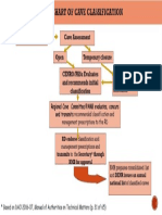 Cave Classification Procedure