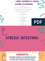 Artresia Intestinal