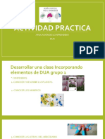 Actividad Practica: Aplicación de Lo Aprendido DUA