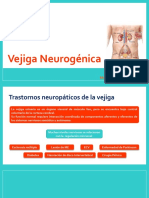 Vejiga Neurogénica