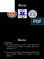 Everything You Need to Know About Burns