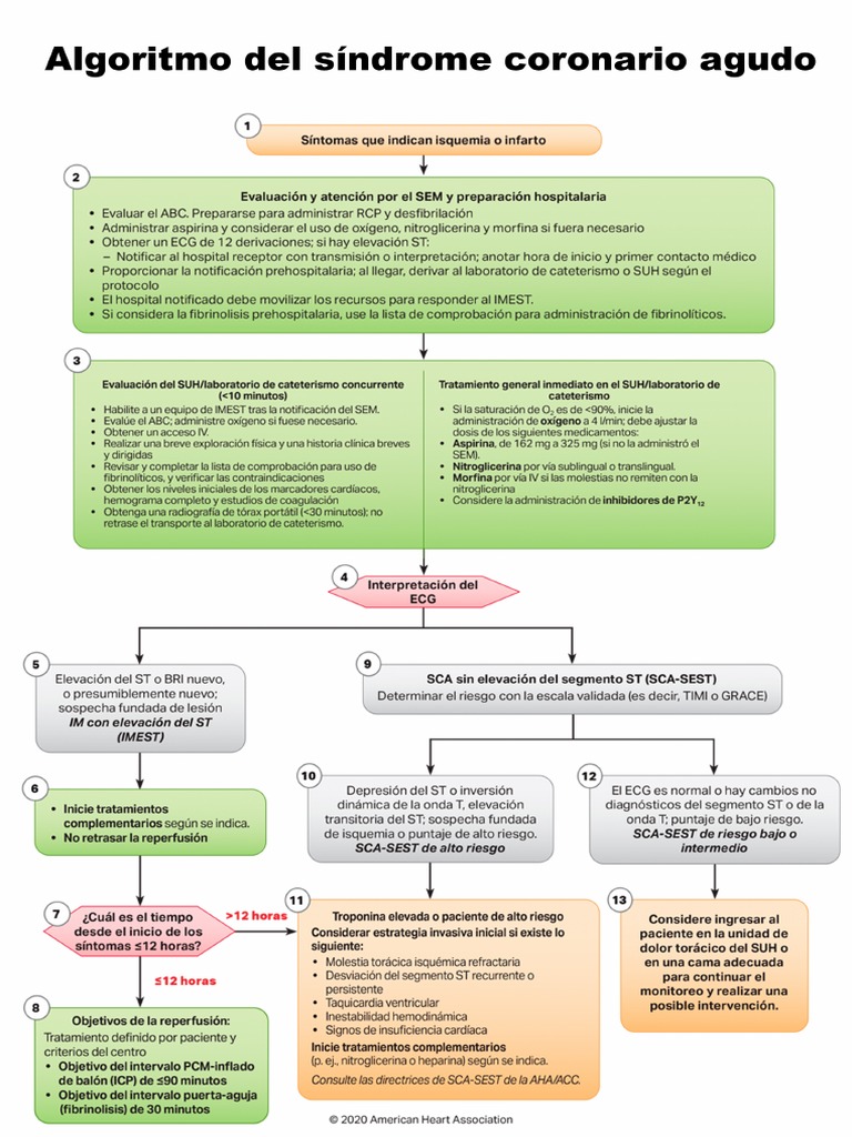 Tarjeta de Referencia SVCA - ACLS Accidente Cerebro Vascular y Sindrome ...