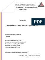 Embriología Práctica 1. Placenta