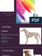 Osteología Axial Monogástricos