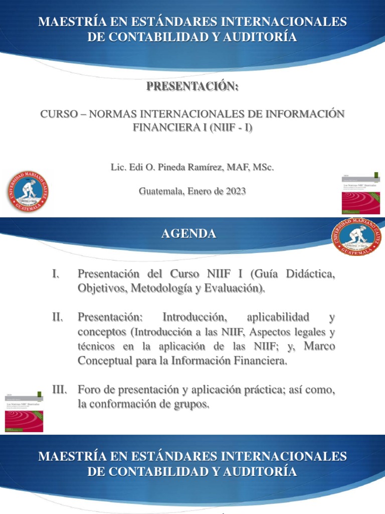 NIIF I Marco Conceptual 2023 | PDF | normas internacionales de ...