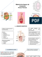 Material de Apoyo de Anatomía: Primer Periodo