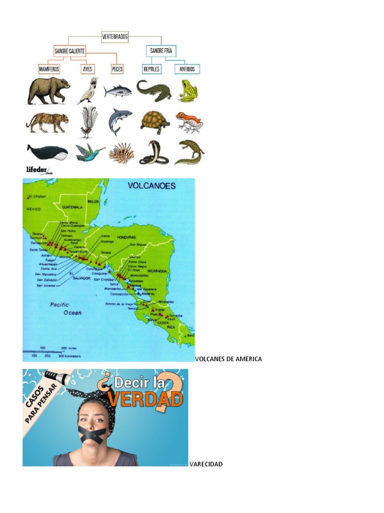 Volcanes de America | PDF | Hogar, jardinería y bricolaje | Informática