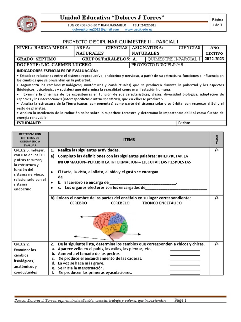 7mo Examen Q2 P1 Ciencias Naturales Septimo | PDF | Fotosíntesis | Plantas