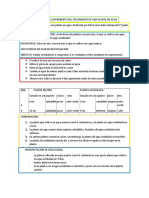 Informe Del Experimento Del Crecimiento de Una Planta en Agua