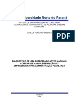 Diagnóstico de Uma Academia de Artes Marciais - 2008