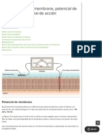 Excitabilidad de La Membrana, Potencial de Equilibrio y Potencial de Acción - Lecturio