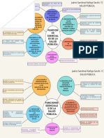 Mapa Mental Salud Publica