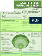 Inforgrafia Análisis Del Perfil Del Cargo