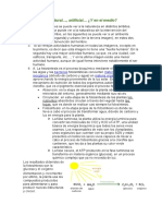 ACTIVIDAD 7: Natural, Artificial ¿Y en El Medio?: Plantas Bacterias Materia Inorgánica Materia Orgánica