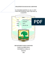 Laporan Praktikum Dasar-Dasar Agronomi: Sesquipedalis)