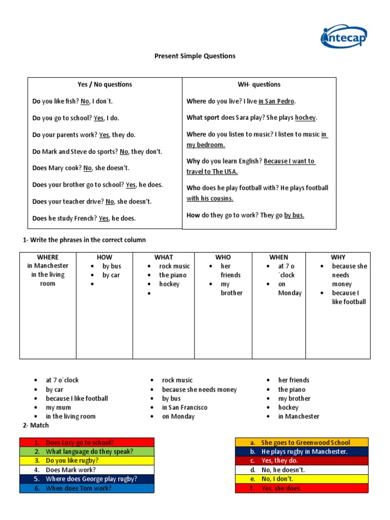 Present Simple Questions Guide | PDF