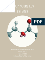 Album de Los Esteres (Documento Solo)