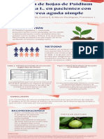 Infografia Plantas Medicinales Diana Rodriguez