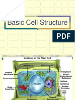 Basic Cell Structure