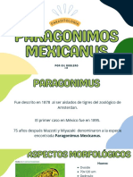 Paragonimus Mexicanus: Características y ciclo de vida del parásito pulmonar endémico en México