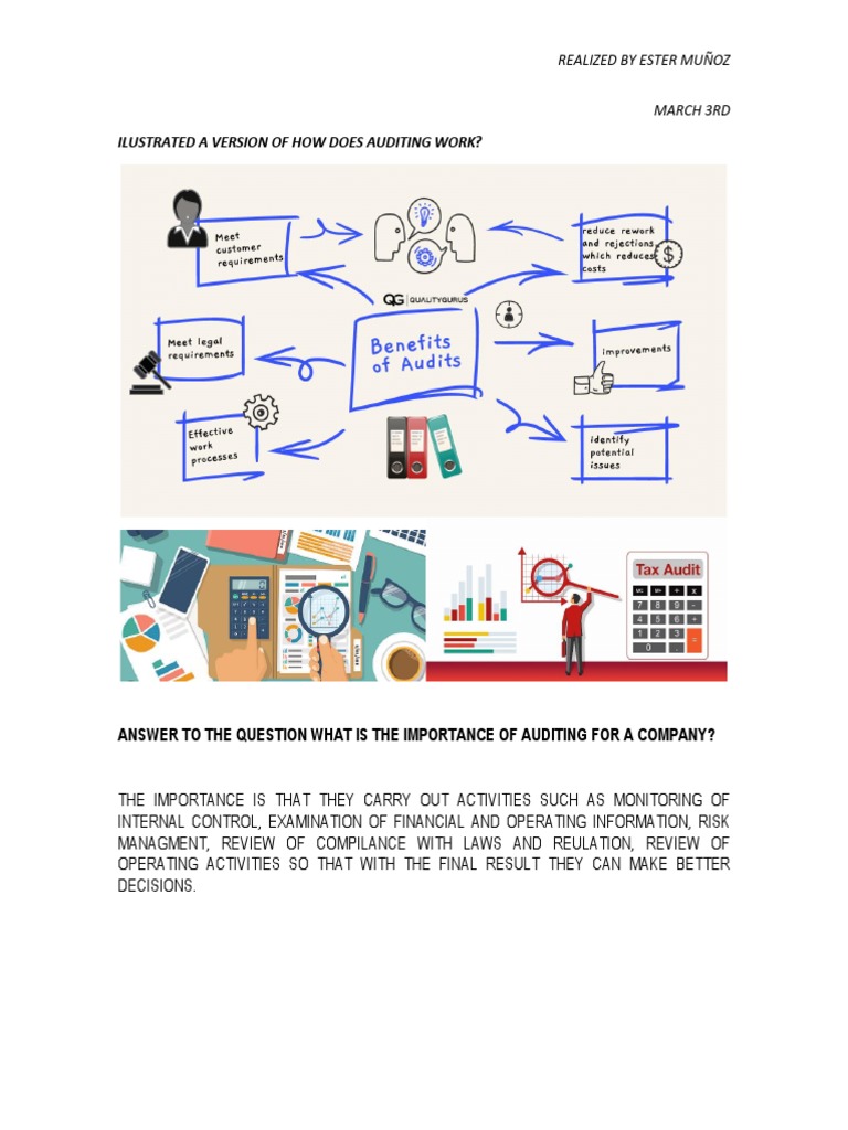 Audit Fundamentals | PDF