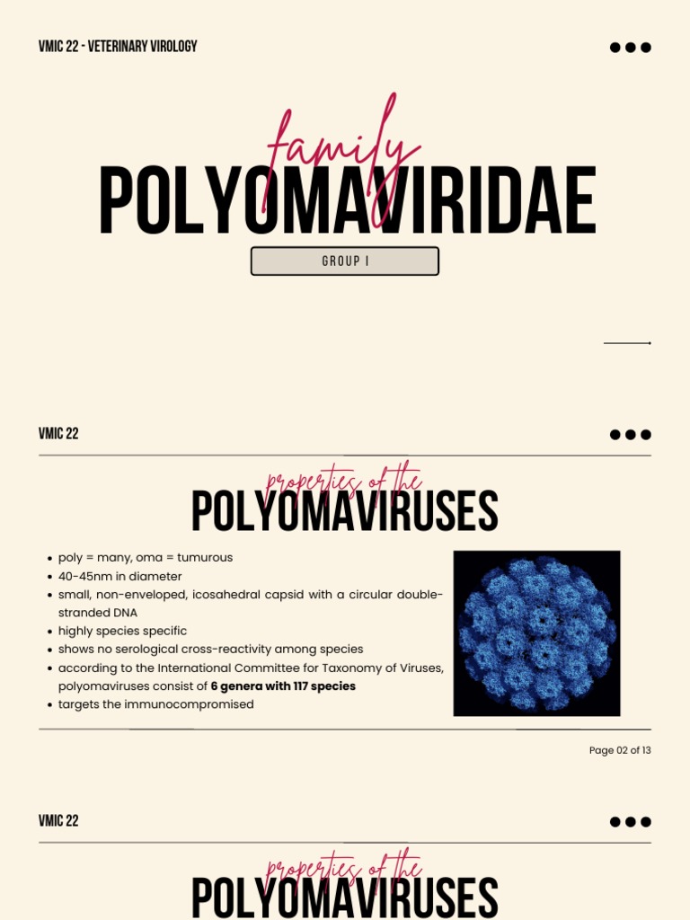 Polyomaviridae PDF Medical Specialties Virology