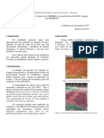 Circular Técnico - Panicum Maximum Cv. Miyagui - Ana Luisa J Danilo e Leonardo