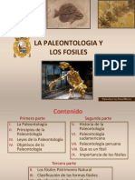 1.paleontologia y Los Fosiles 23 I