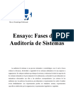 PJ Ensayo Fases de La Auditoria de Sistemas