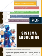 Sistemas: Endocrino Y Nervioso