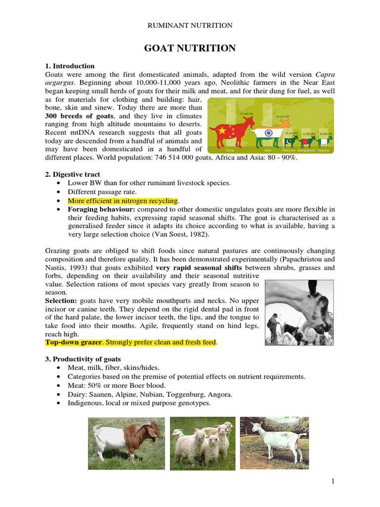 Goat Nutrition | Download Free PDF | Goat | Milk