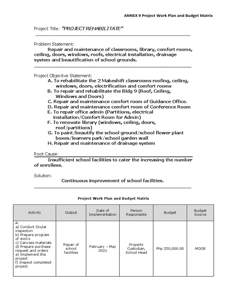 Annex 9 project work plan and budget matrix docxpes pdf