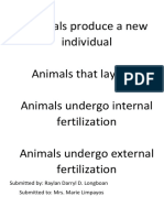 Animals Produce A New Individual Animals That Lay Eggs Animals Undergo Internal Fertilization Animals Undergo External Fertilization