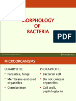 Morphology OF Bacteria: Universities Press